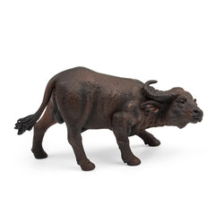 African Buffalo (3 Years +)