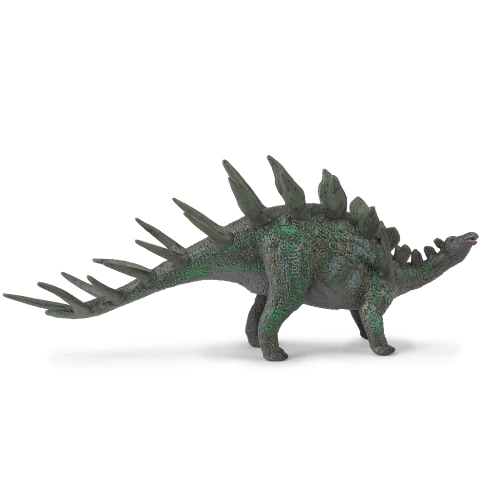Kentrosaurus (3 Years +)