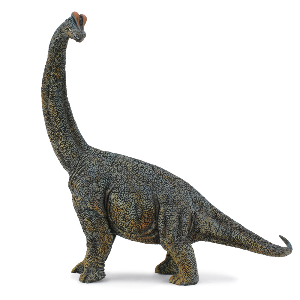 Brachiosaurus 1:40 (Deluxe) (3 Years +)