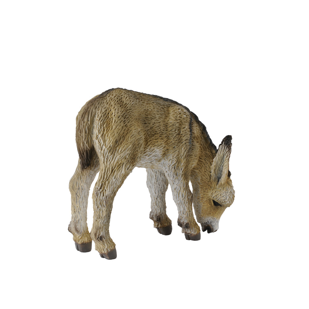 Donkey Foal Grazing (3 Years +)