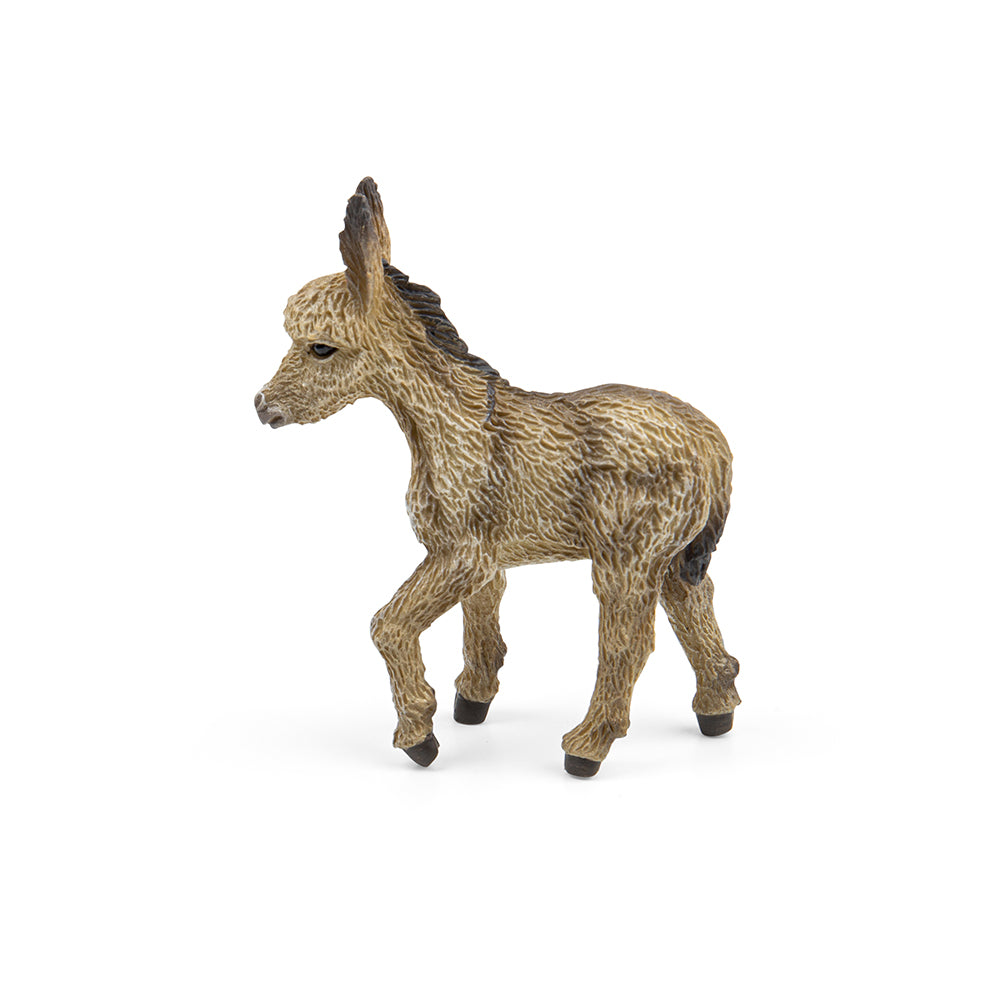 Donkey Foal Walking (3 Years +)