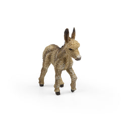 Donkey Foal Walking (3 Years +)