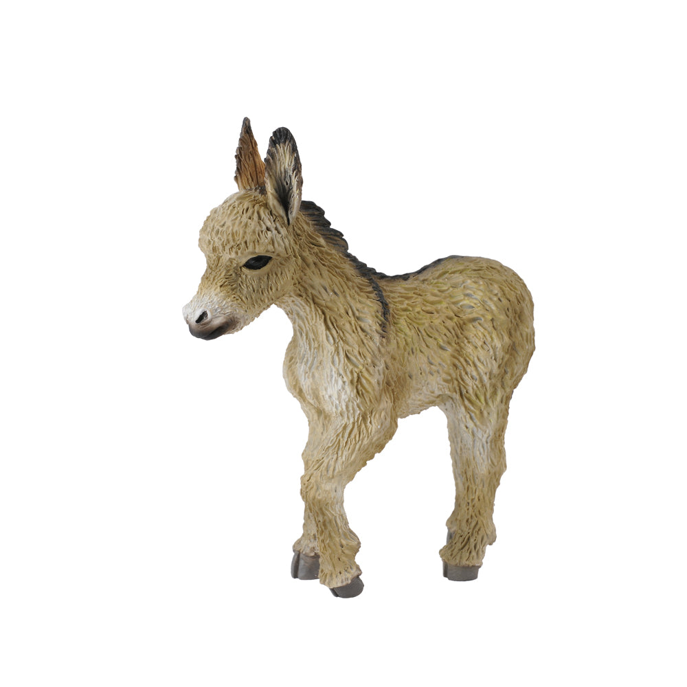 Donkey Foal Walking (3 Years +)