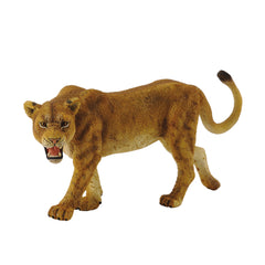 Lioness (3 Years +)