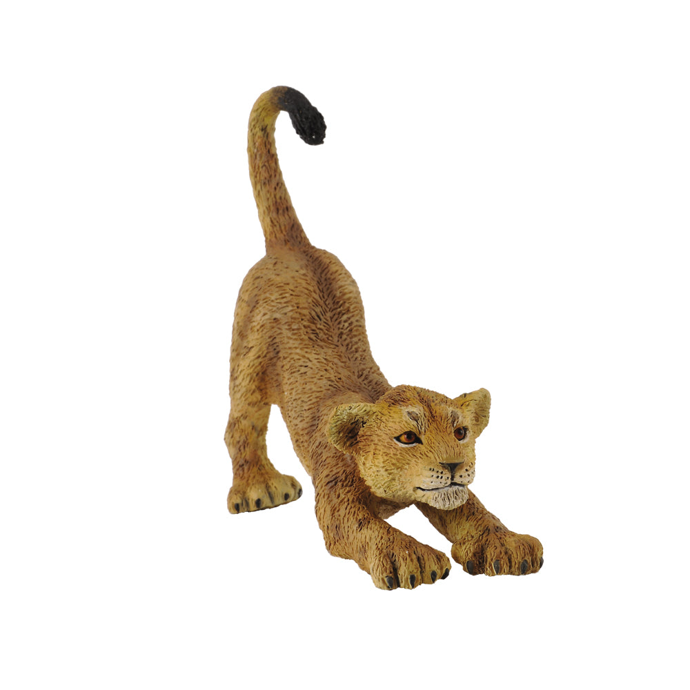 Lion Cub Stretching (3 Years +)