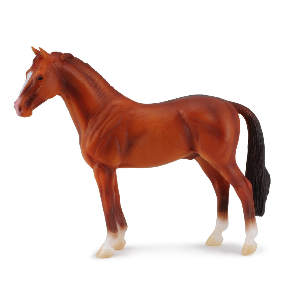 Hanoverian Chestnut (3 Years +)