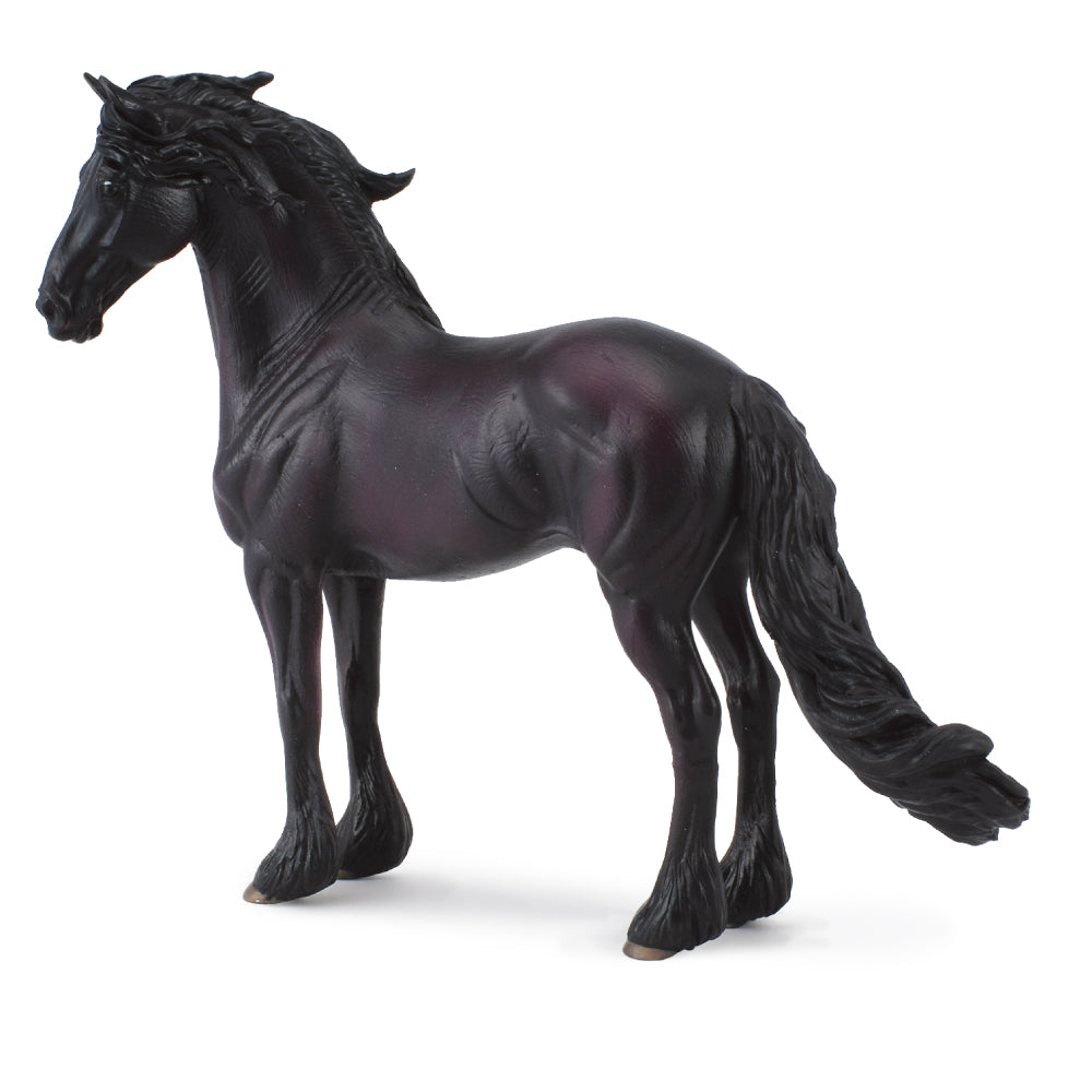 Friesian Stallion (3 Years +)