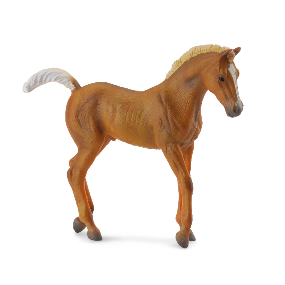 Tennessee Walking Horse Foal Chestnut (3 Years +)