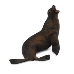 Sea Lion (3 Years +)