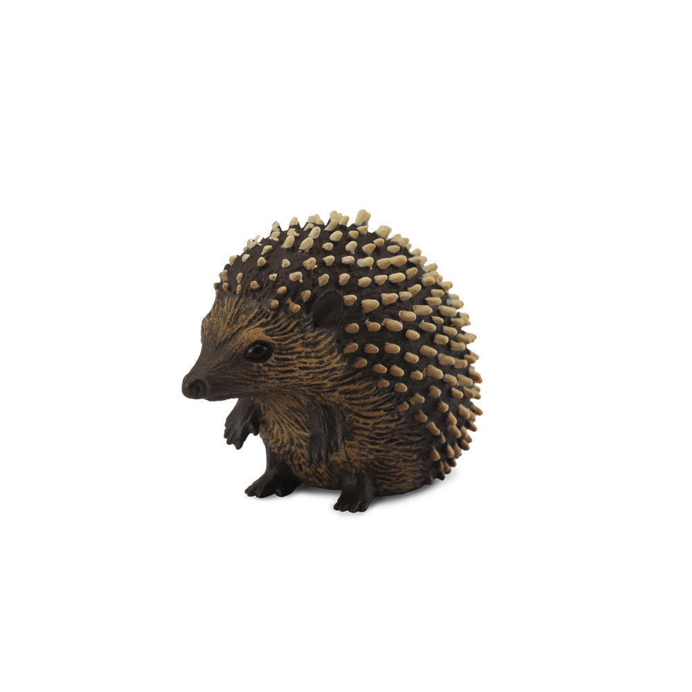 Hedgehog (3 Years +)