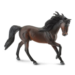 Andalusian Stallion Bay (3 Years +)