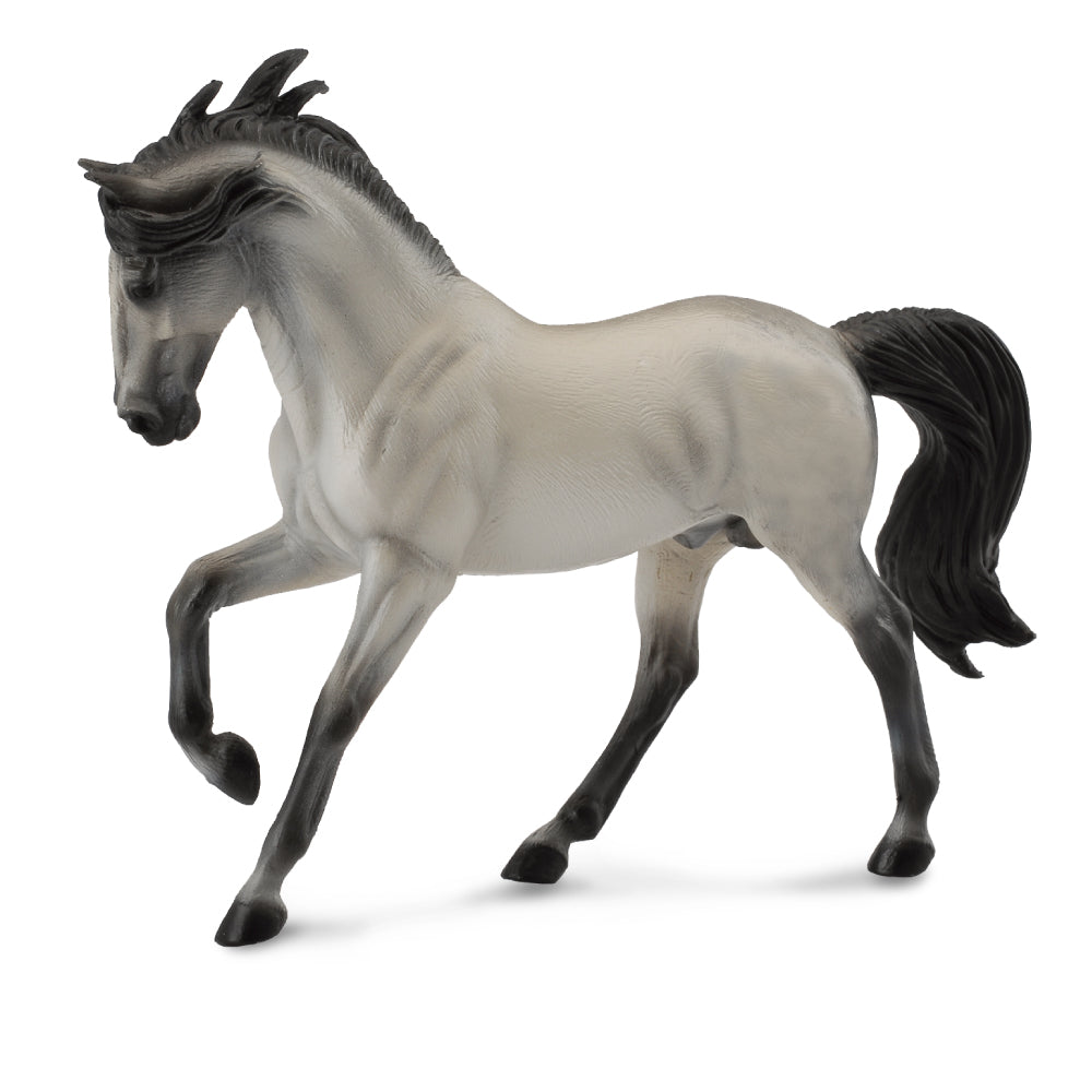 Andalusian Stallion Grey (3 Years +)