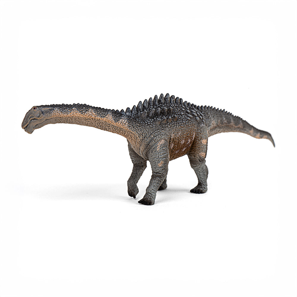 Ampelosaurus (3 Years +)