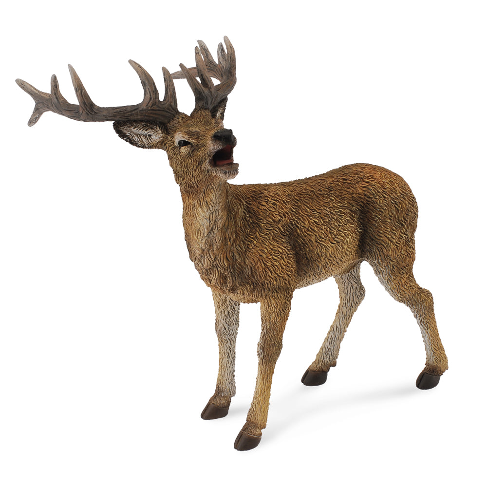 Red Deer Stag (3 Years +)