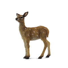 Red Deer Calf (3 Years +)