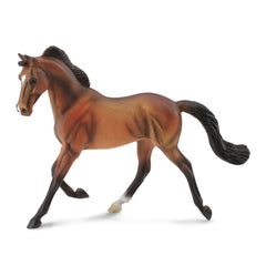 Thoroughbred Mare Bay (3 Years +)