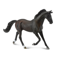 Thoroughbred Mare Black (3 Years +)