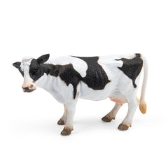 Friesian Cow (3 Years +)