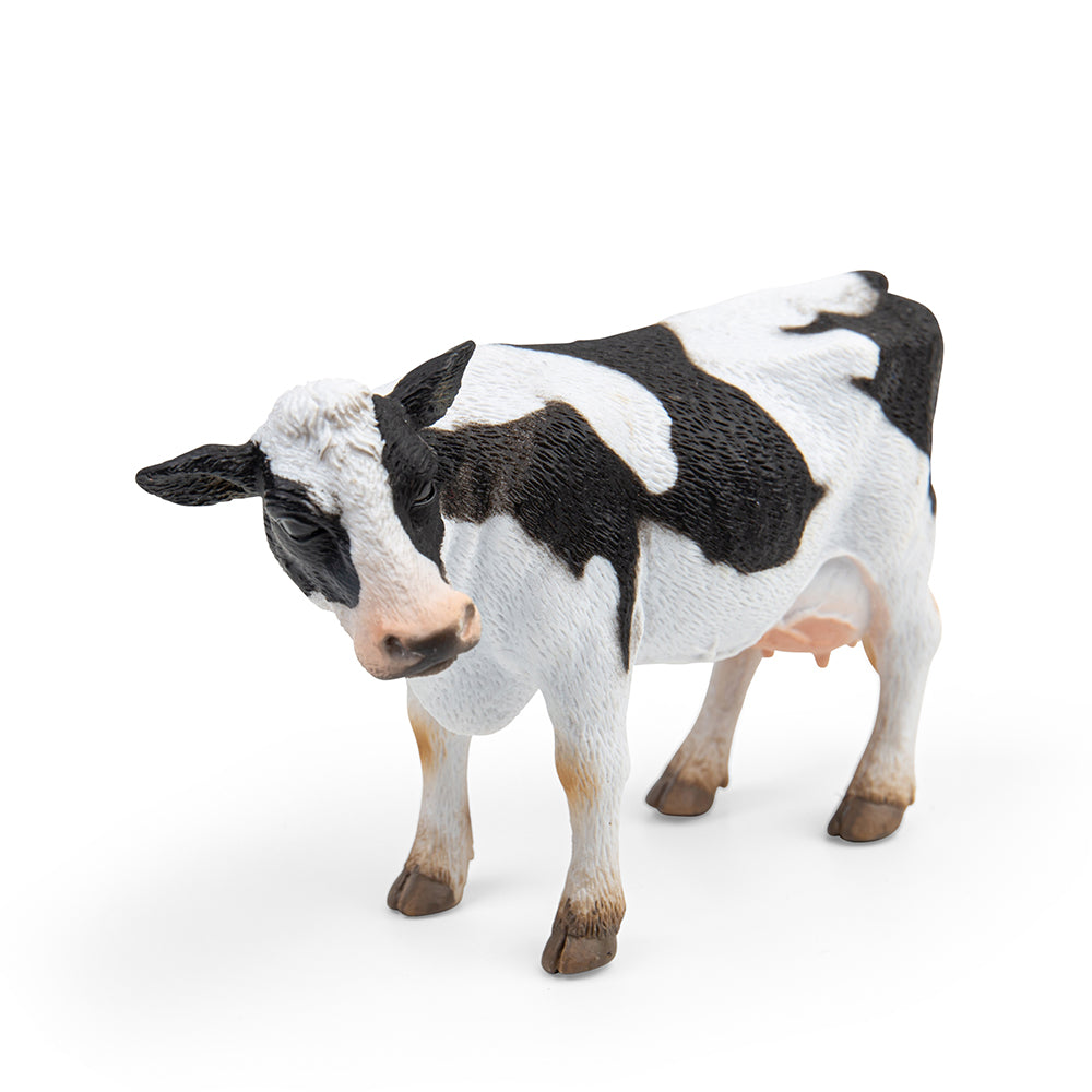 Friesian Cow (3 Years +)