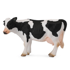 Friesian Cow (3 Years +)