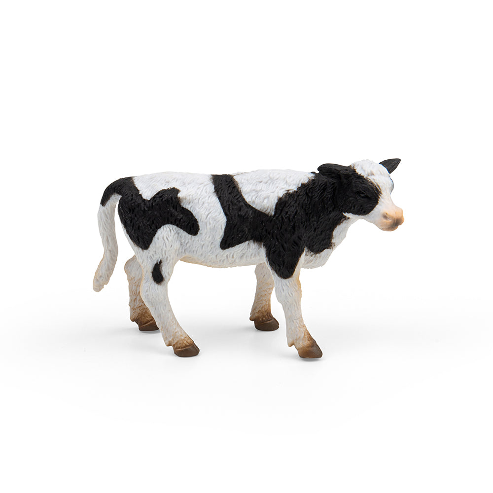 Friesian Calf Standing (3 Years +)