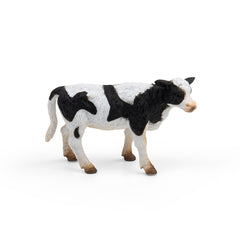 Friesian Calf Standing (3 Years +)