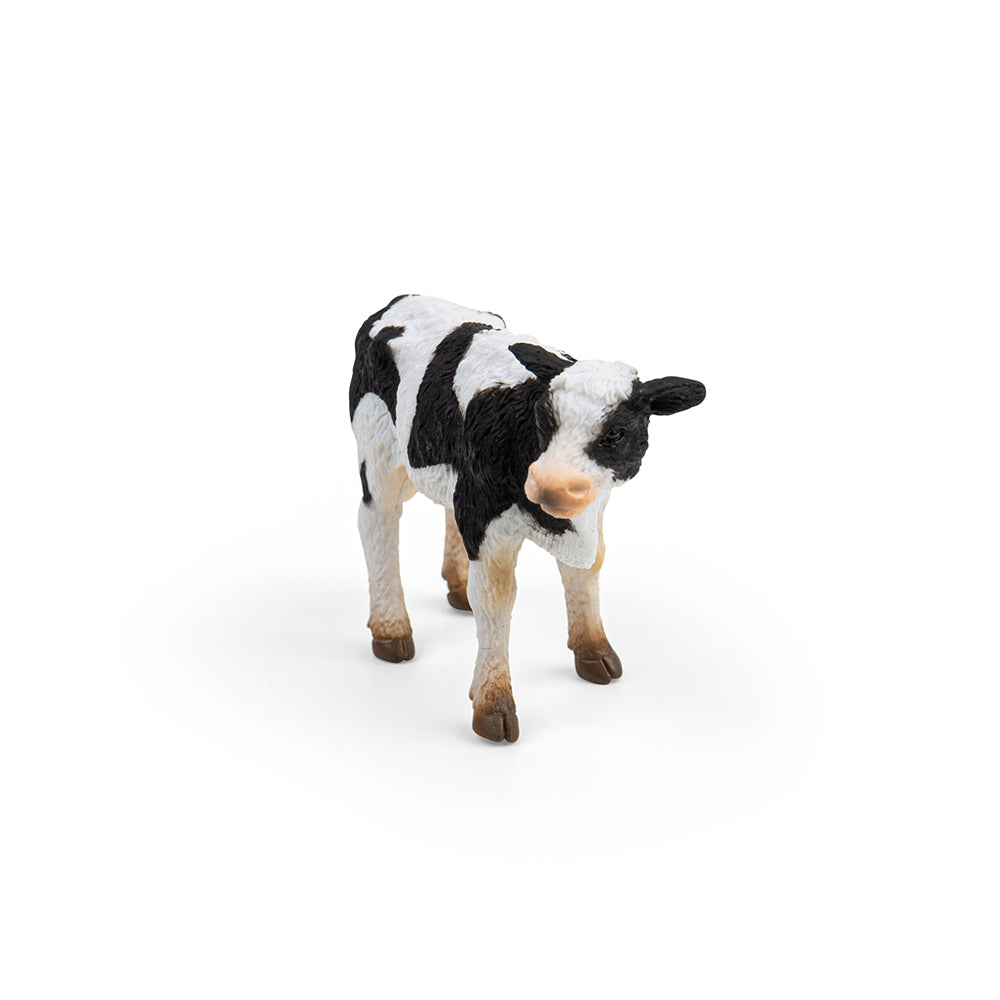 Friesian Calf Standing (3 Years +)