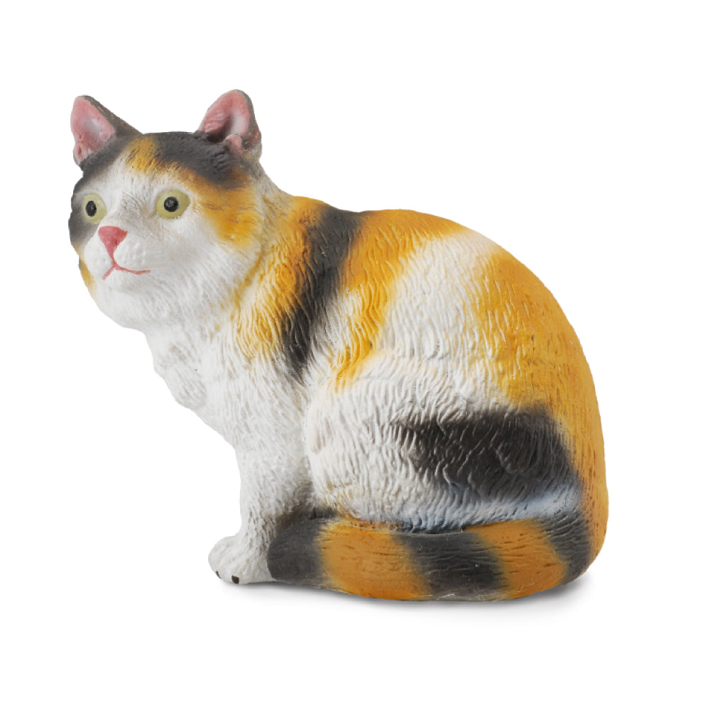 3Colour House Cat Sitting (3 Years +)