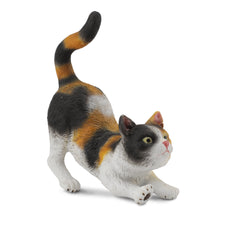 3Colour House Cat Stretching (3 Years +)