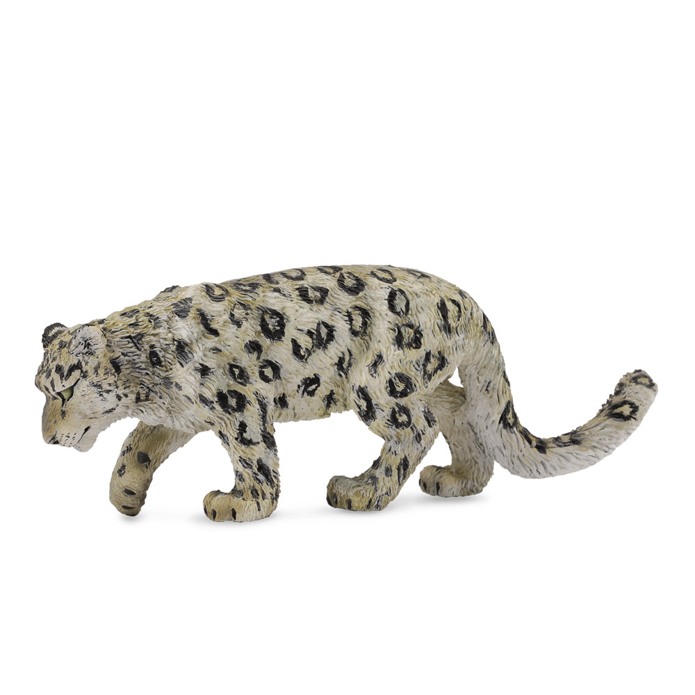 Snow Leopard (3 Years +)