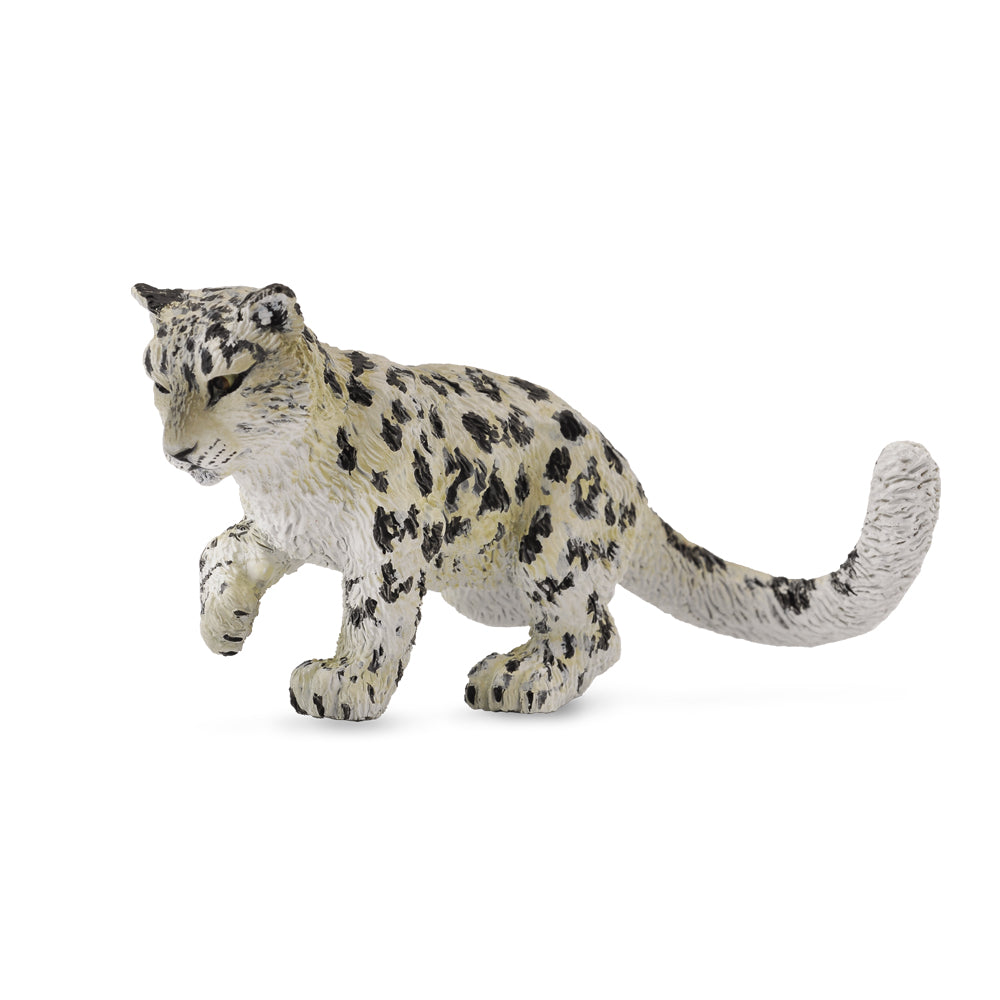Snow Leopard Cub Playing (3 Years +)