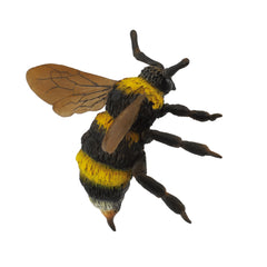 Bumble Bee (3 Years +)