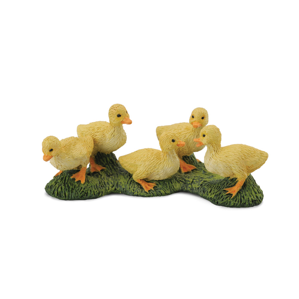 Ducklings (3 Years +)