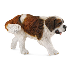 St Bernard (3 Years +)