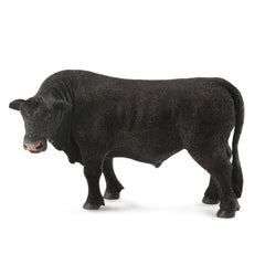 Black Angus Bull (3 Years +)