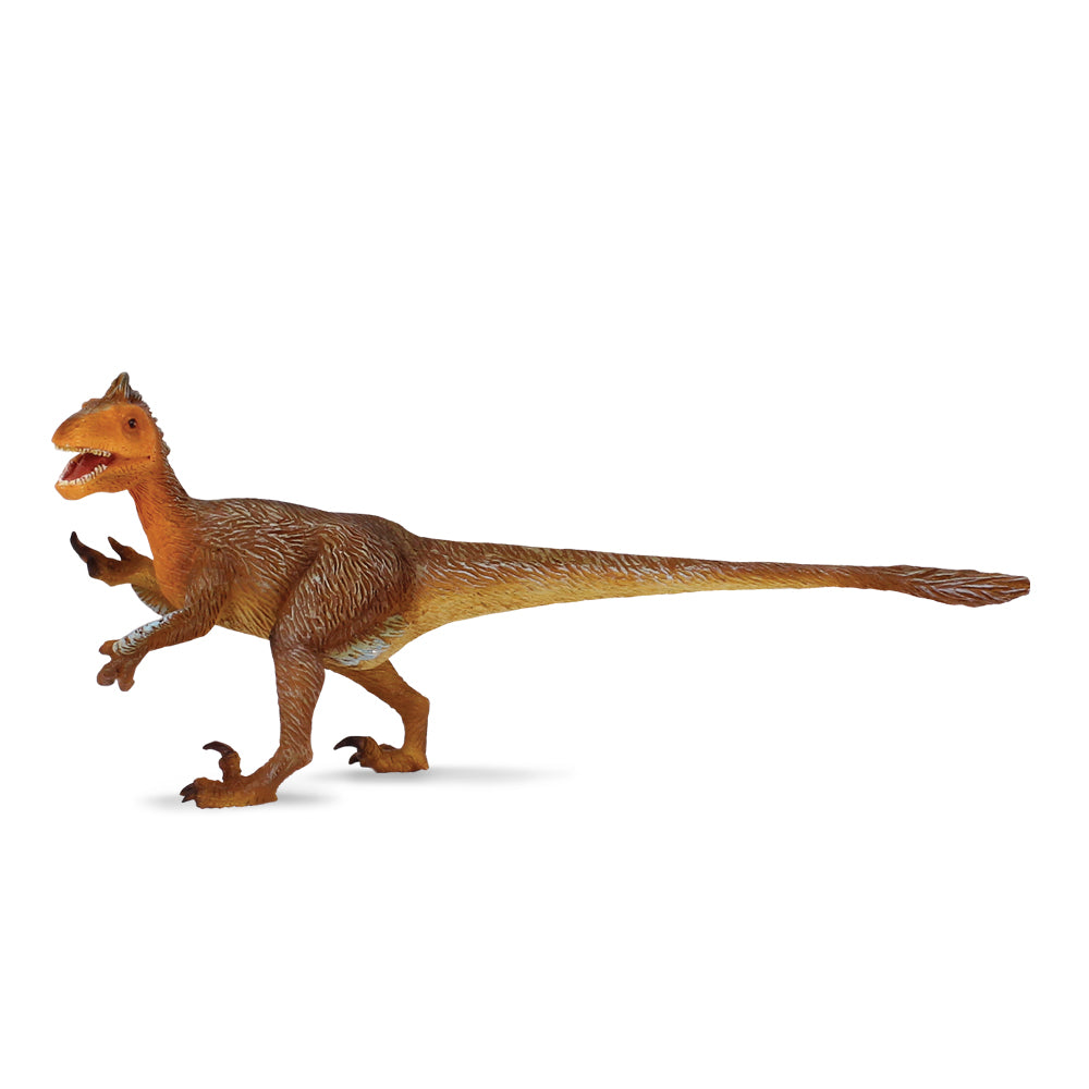 Utahraptor (3 Years +)