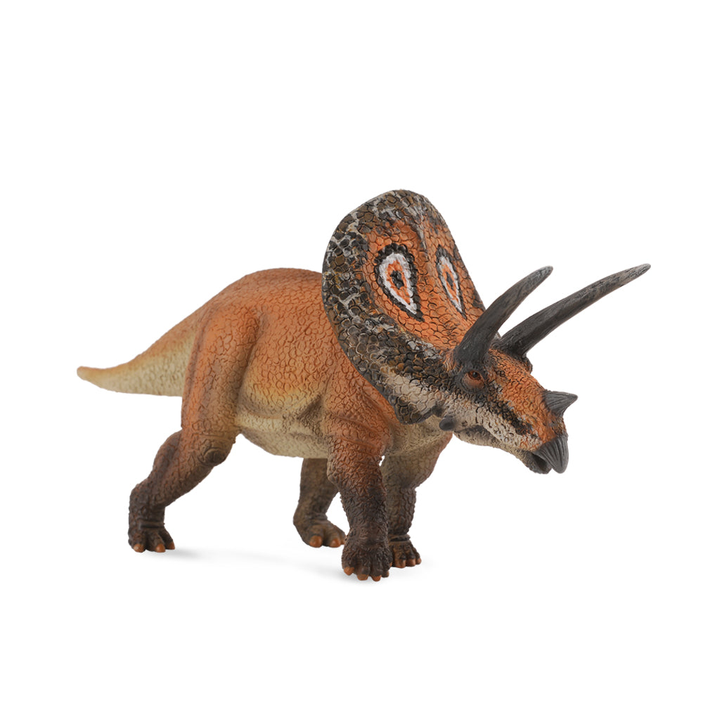 Torosaurus (3 Years +)