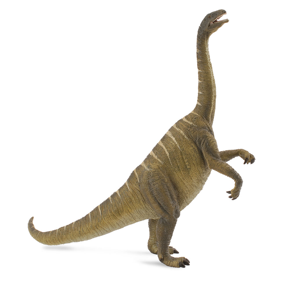 Plateosaurus (3 Years +)