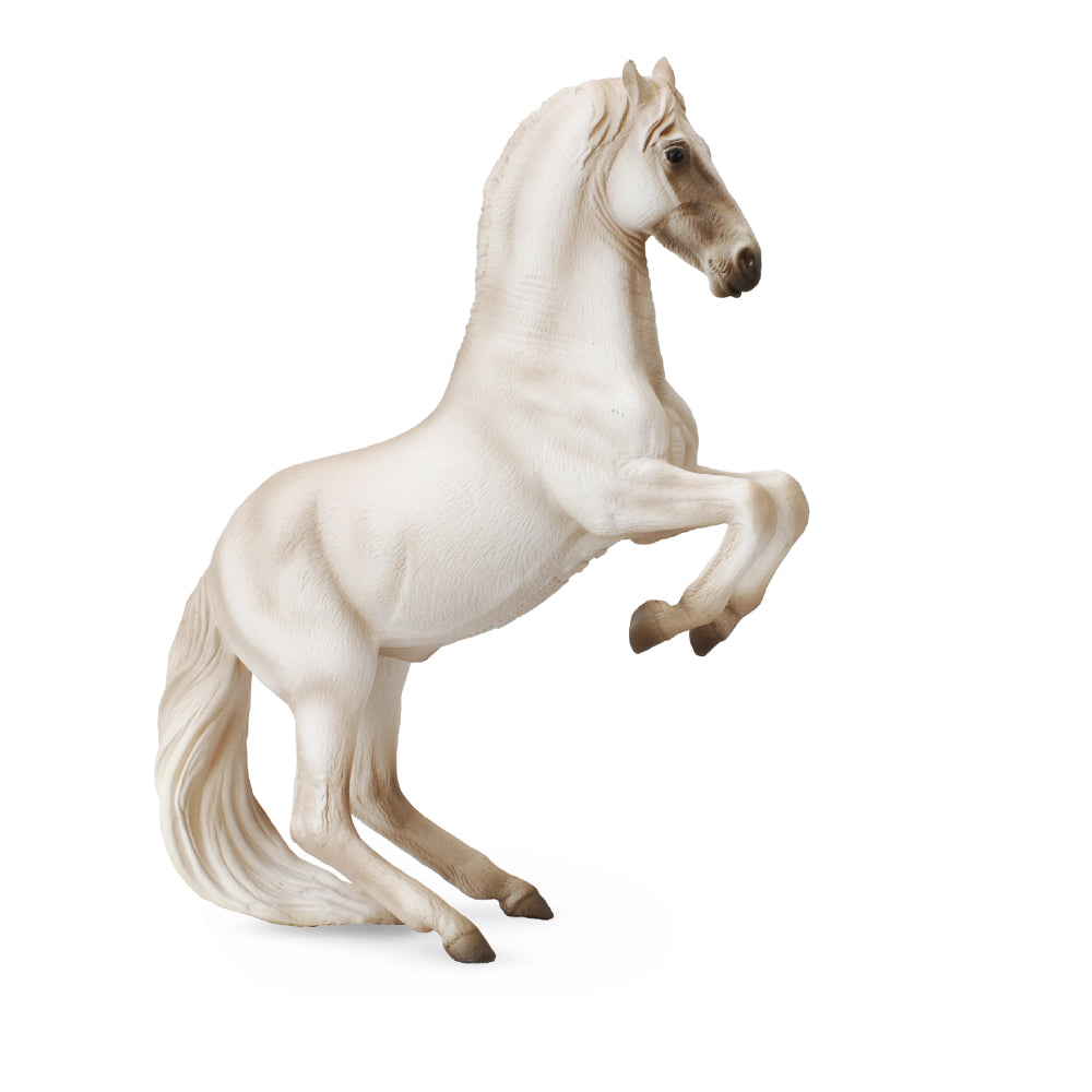Lipizzaner Stallion (3 Years +)