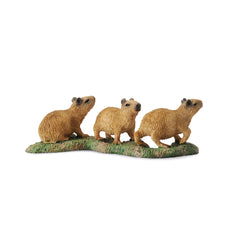 Capybara Babies (3 Years +)