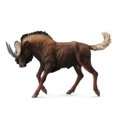 Black Wildebeest (3 Years +)
