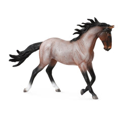 Mustang Mare Bay Roan (3 Years +)