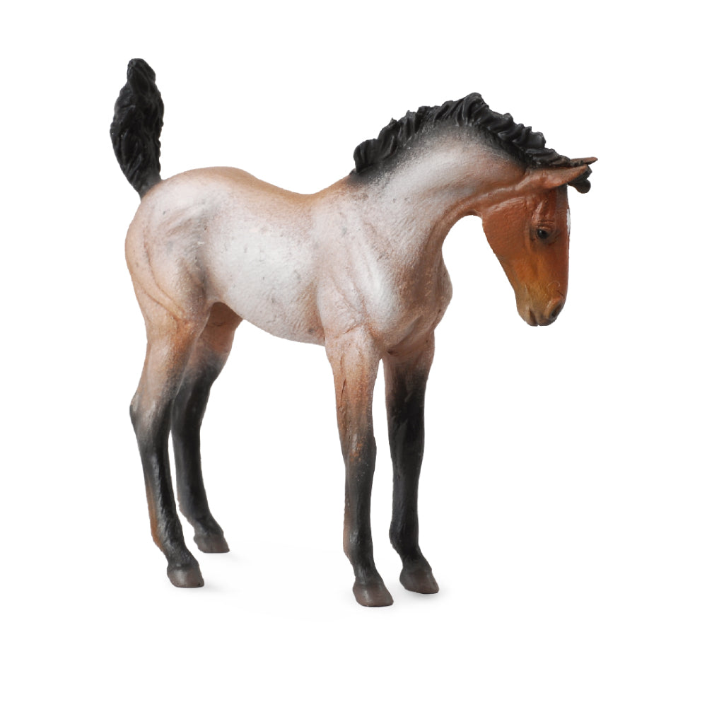 Mustang Foal Bay Roan (3 Years +)