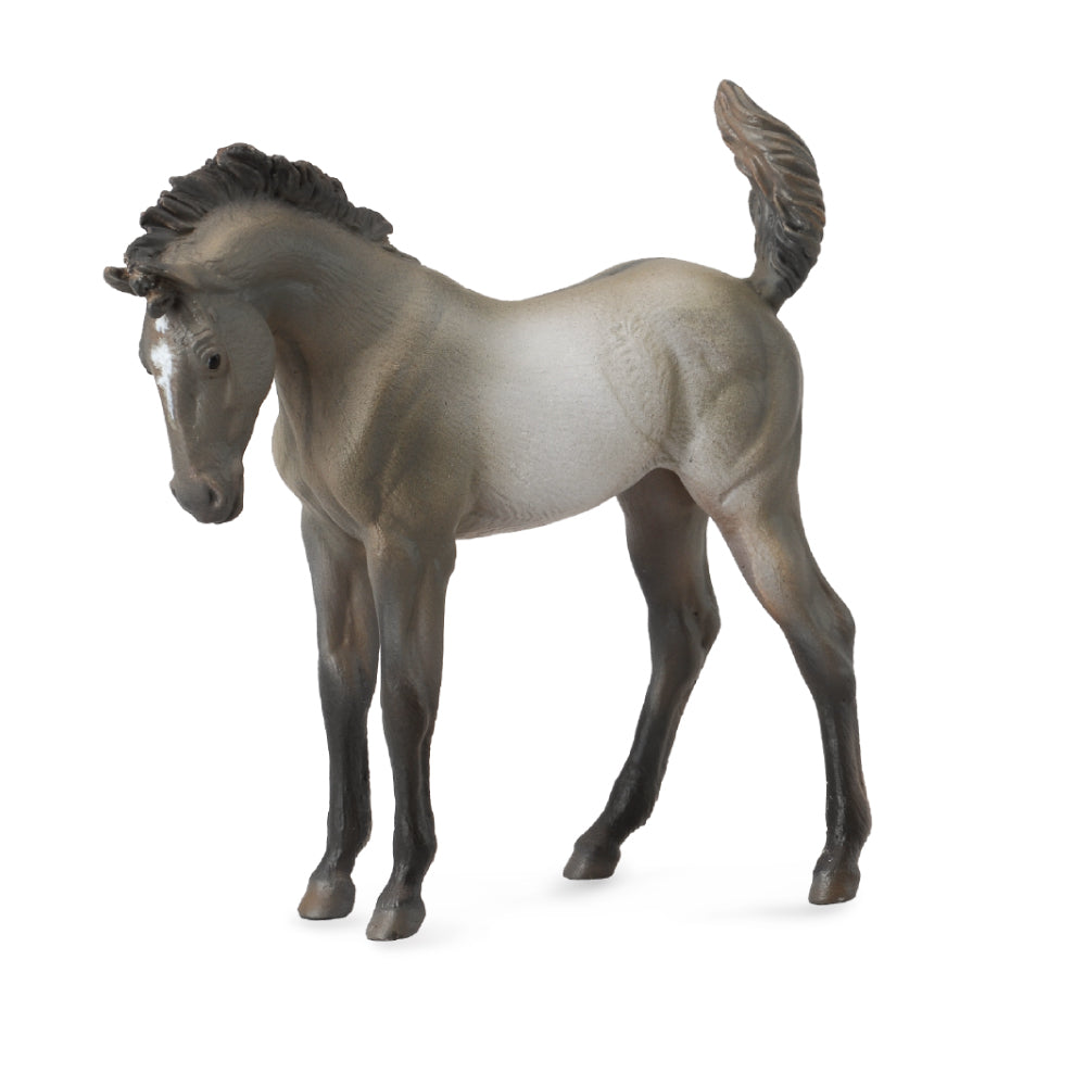 Mustang Foal Grulla (3 Years +)