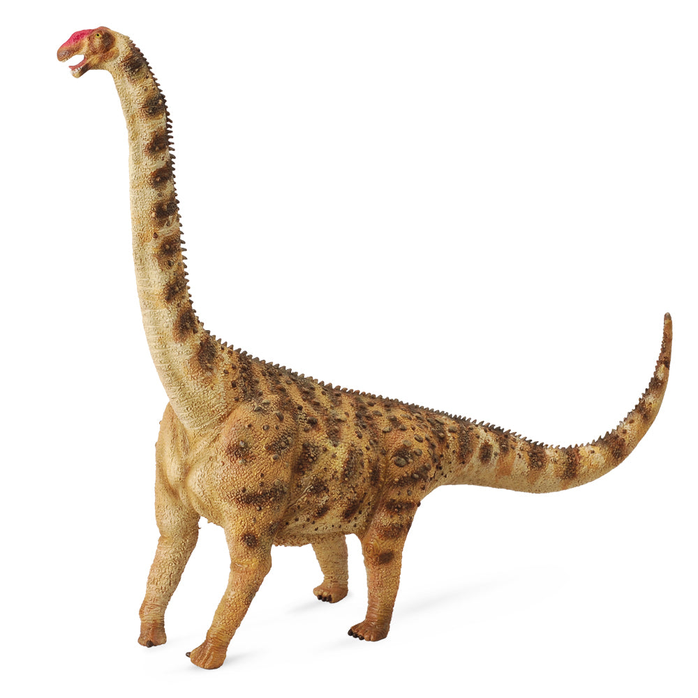 Argentinosaurus (3 Years +)
