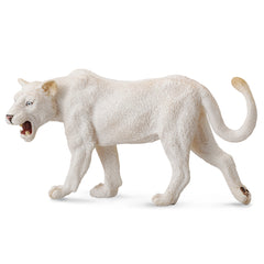 White Lioness (3 Years +)
