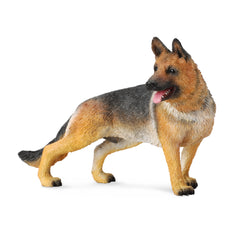 German Shepherd (3 Years +)