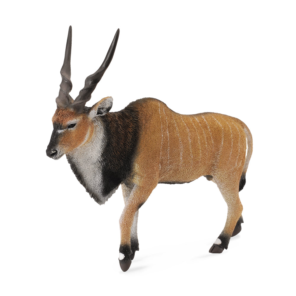 Giant Eland Antelope (3 Years +)