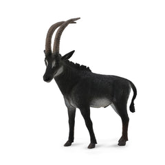 Giant Sable Antelope Male (3 Years +)