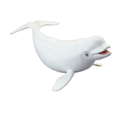 Beluga Whale (3 Years +)